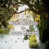 About Música Relajante De Bosque Y Jardín Song