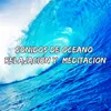 Sonidos De Oceano Relajación Y Meditación