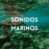 Sonido del Mar para Dormir Bebes