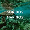 About Sonido Marino Song