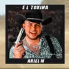 About El Toxina Song