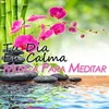 Música Para Calmar La Ansiedad Yoga