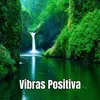 About Vibras Positiva Song