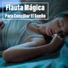 About Flauta Mágica Para Conciliar El Sueño Song