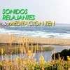 About Sonidos Relajantes Para Meditar Relaxing Song