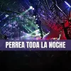 Perrea Toda La Noche