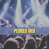 About Perreo Mix Song