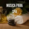 Meditacion Profunda