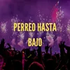 About Perreo Hasta Bajo Song