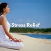 Relaxing Music for Stress Relief