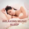 About Music to Sleep To Song