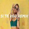 About Si Te Veo (Remix) Song