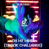 About On My Mind (TikTok Challenge) Song