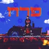 About פרח Song