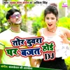 About Tor Duvra Par Bajat Hoi Dj Song