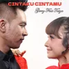 About Cintaku Cintamu Song