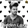 About Hidden Love Song