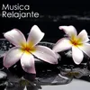 About Relax Sounds - Música Relajante Song