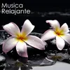 Relax Sounds - Música Relajante