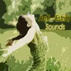 About Anti Stress Sounds Musica Relajante Song