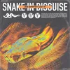About Snake in Disguise Song