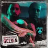 About Gelsin Song