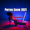 About Perreo Snow 2021 Song