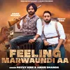 About Feeling Marwaundi Aa Song