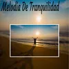 About Flauta Meditaciones Song