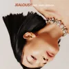 About Jealousy Song