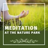 Make Way For Meditation