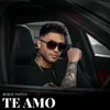 About Te Amo Song