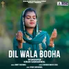 About Dil Wala Booha Song
