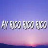 About Ay Rico Rico Rico Song