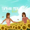 About Tumhari Meri Baat Song