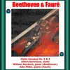 Violin Sonata No. 9 in A Major, Op. 47 "Kreutzer": II. Andante con variazioni