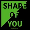 Shape Of You (Cover)