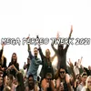 About Mega Perreo Twerk 2021 Song