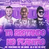 About Ta Brotando no Plantão Bregafunk Remix Song