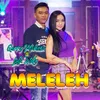 About Meleleh Song