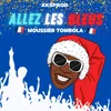 About Allez les bleus Song