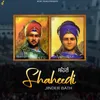 About Shaheedi Song