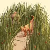 About Path Through the Tall Grass Song