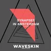 About Synapses in Amsterdam Song