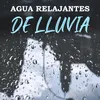 About Agua Relajantes De Lluvia Song