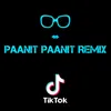 About Paanit Paanit Remix Song