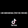 Mix Indonesia (Tiktok Remix)