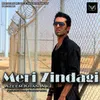 About Meri Zindagi Song