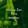 Meditación Budista