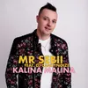 About Kalina Malina Radio Edit Song